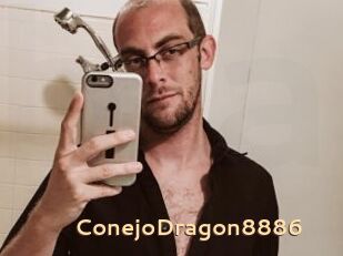 ConejoDragon8886