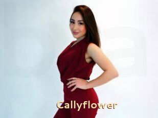 Callyflower