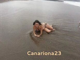 Canariona23