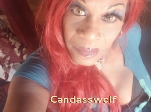 Candasswolf