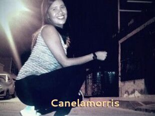 Canelamorris