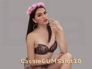 CassieCUMSalot18