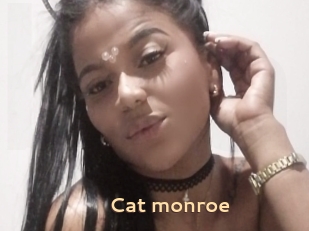 Cat_monroe