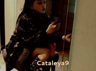 Cataleya9