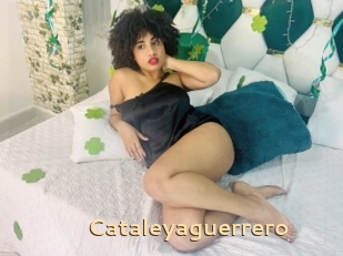 Cataleyaguerrero