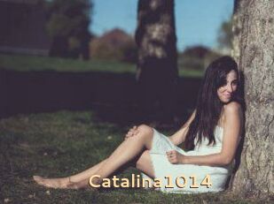 Catalina1014