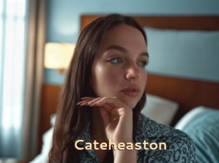 Cateheaston