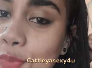 Cattleyasexy4u