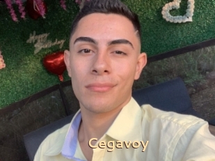 Cegavoy