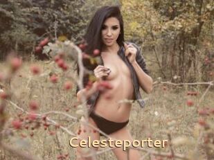 Celesteporter