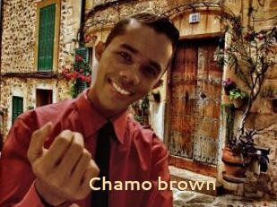 Chamo_brown