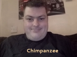 Chimpanzee