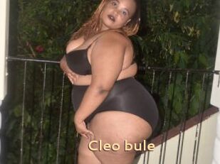 Cleo_bule