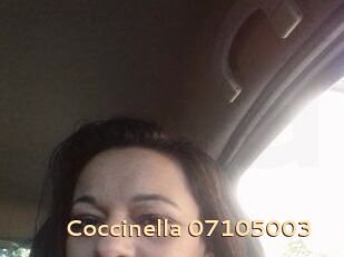 Coccinella-07105003