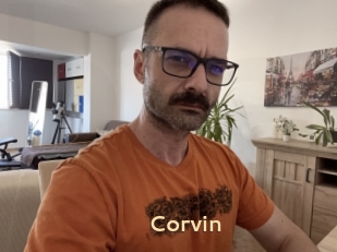 Corvin