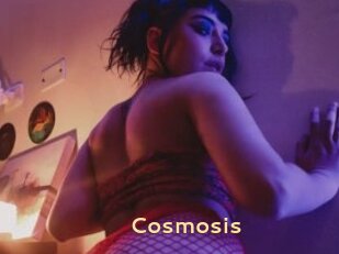 Cosmosis