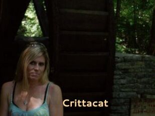 Crittacat