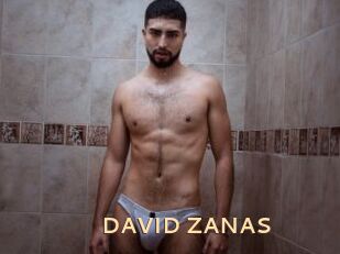 DAVID_ZANAS