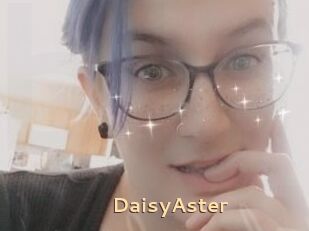 DaisyAster