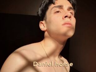 Daniel_horse