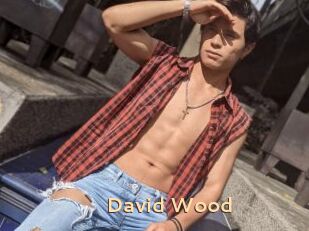 David_Wood