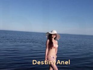 DestinyAnel