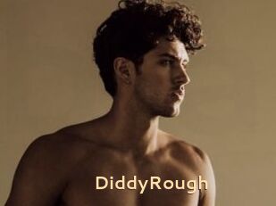 DiddyRough