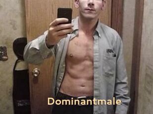 Dominantmale