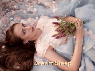 DreamSleep