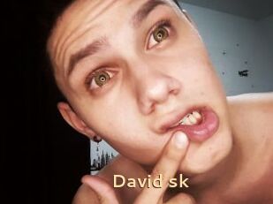 David_sk