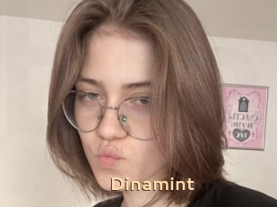 Dinamint