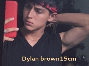 Dylan_brown15cm