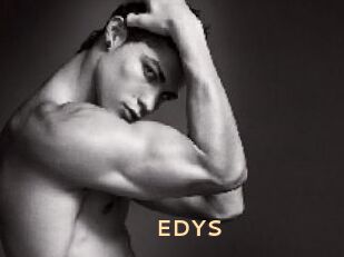 EDYS