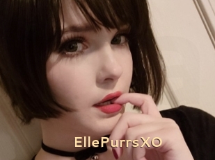 EllePurrsXO