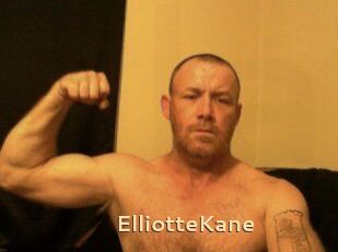 Elliotte_Kane