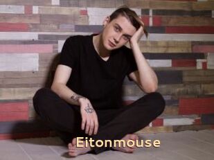 Eitonmouse