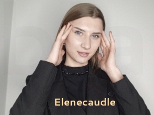 Elenecaudle