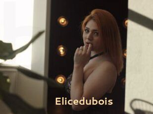 Elicedubois