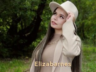 Elizabarnes