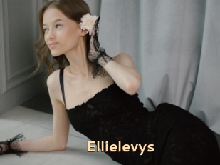 Ellielevys