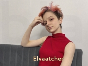 Elvaatcher