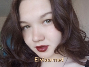 Elviaarnet