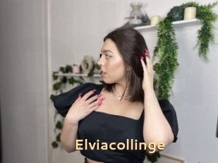 Elviacollinge