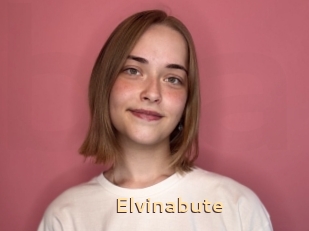 Elvinabute