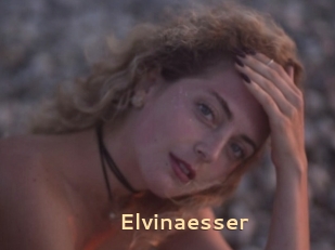 Elvinaesser