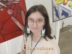 Elwynabuss