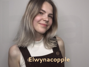 Elwynacopple