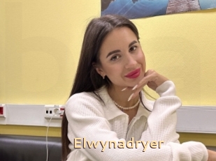 Elwynadryer