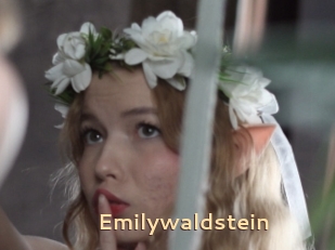 Emilywaldstein