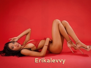 Erikalevvy